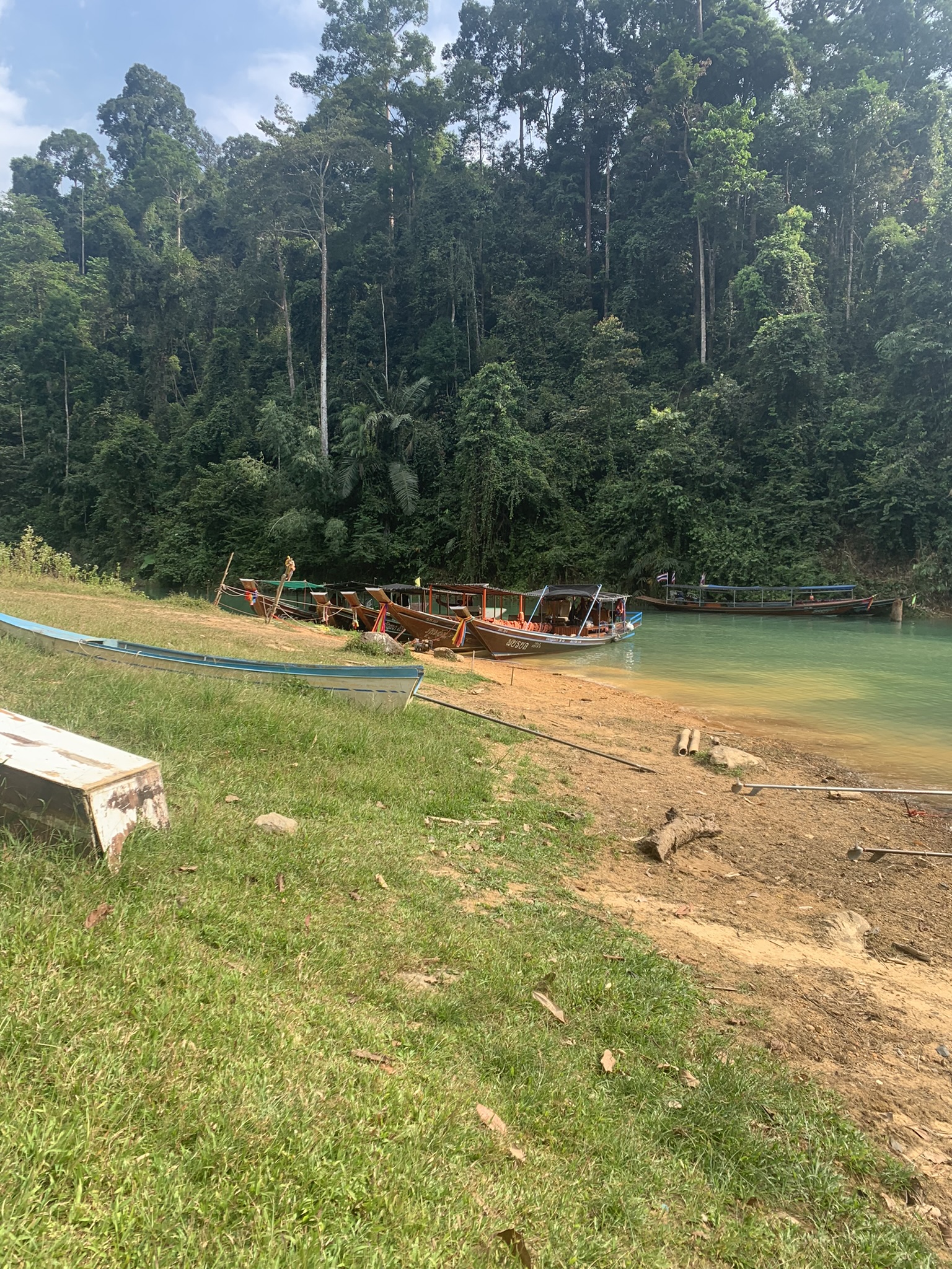 De oever van een rustig Thais meer in Khao Sok omringd door dichte jungle