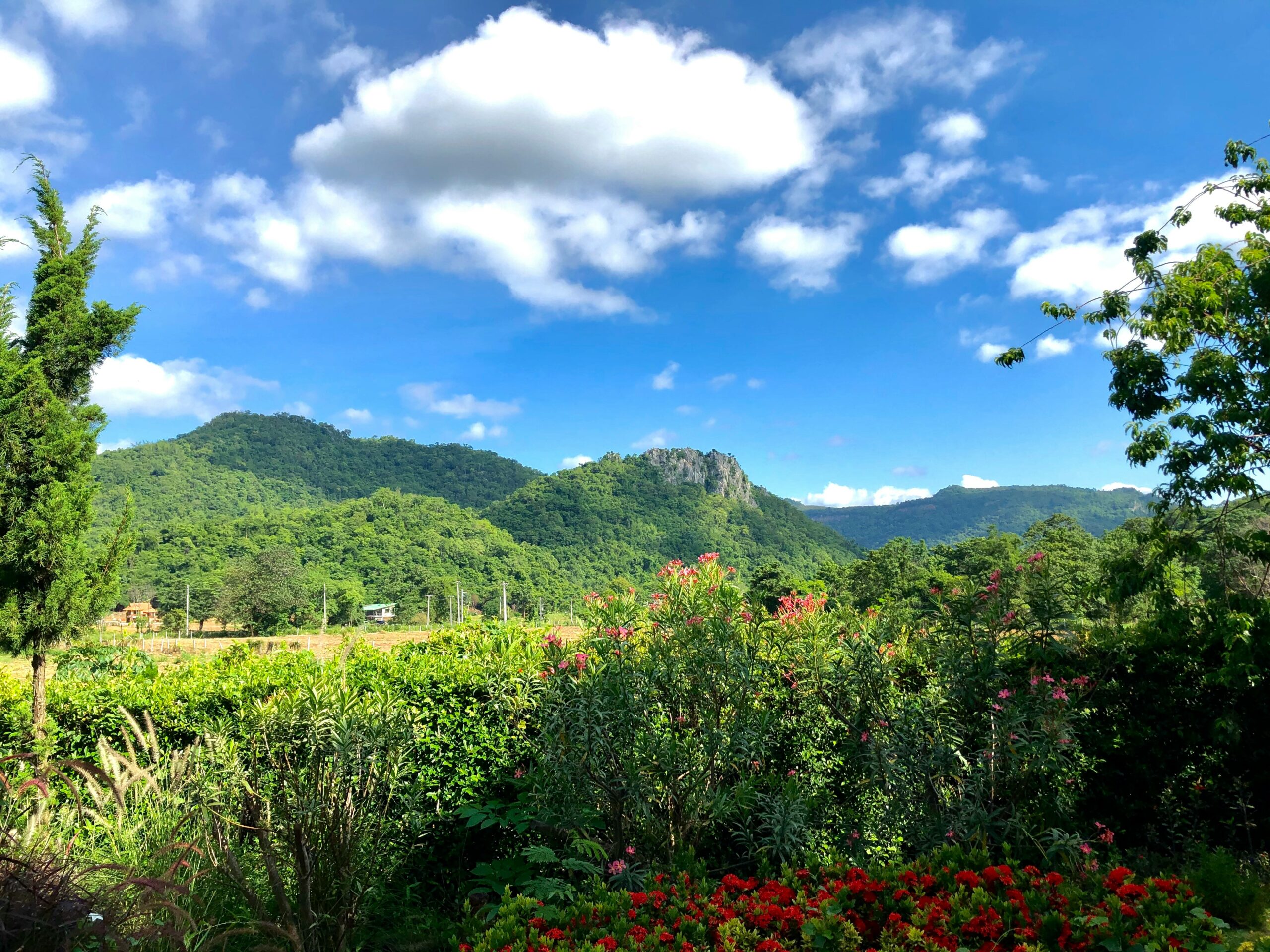 Prachtig groen berglandschap en wilde natuur onder een blauwe lucht in Khao Yai Thailand