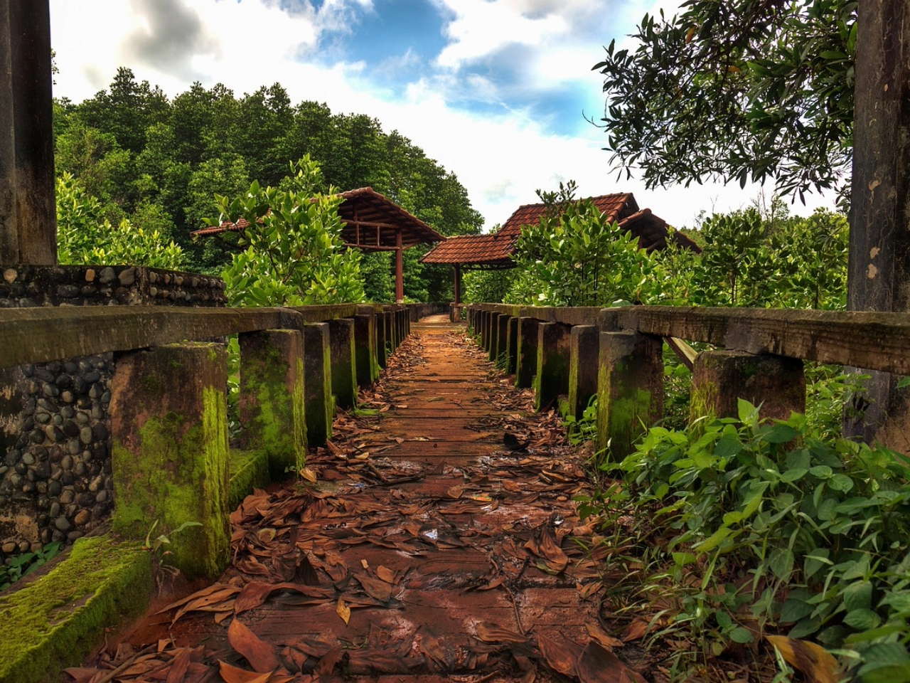 Verhoogd houten wandelpad door de dichte jungle van Thailand