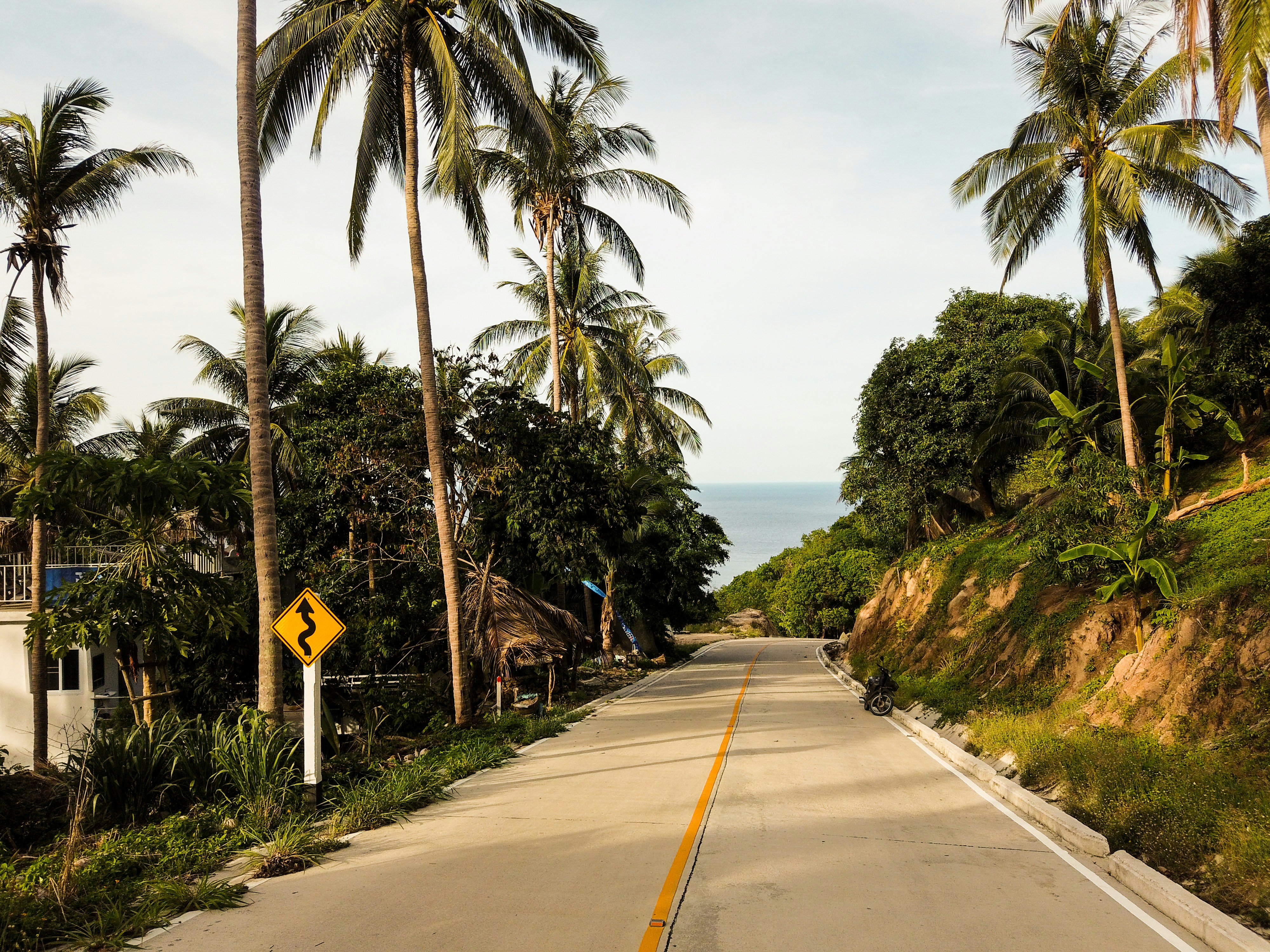 Een rustige weg omringd door palmbomen met uitzicht op de oceaan op het eiland Koh Tao