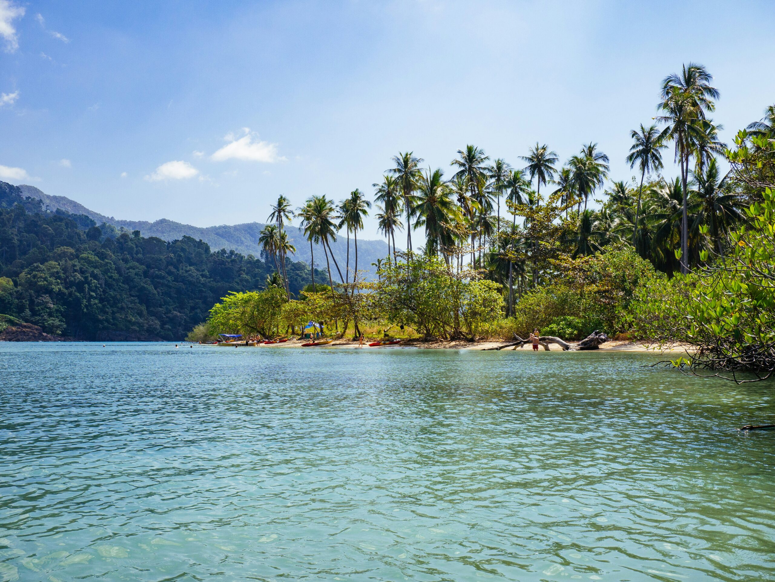 Kleurrijke houten longtailboten aangemeerd aan de tropische kust van Koh Chang