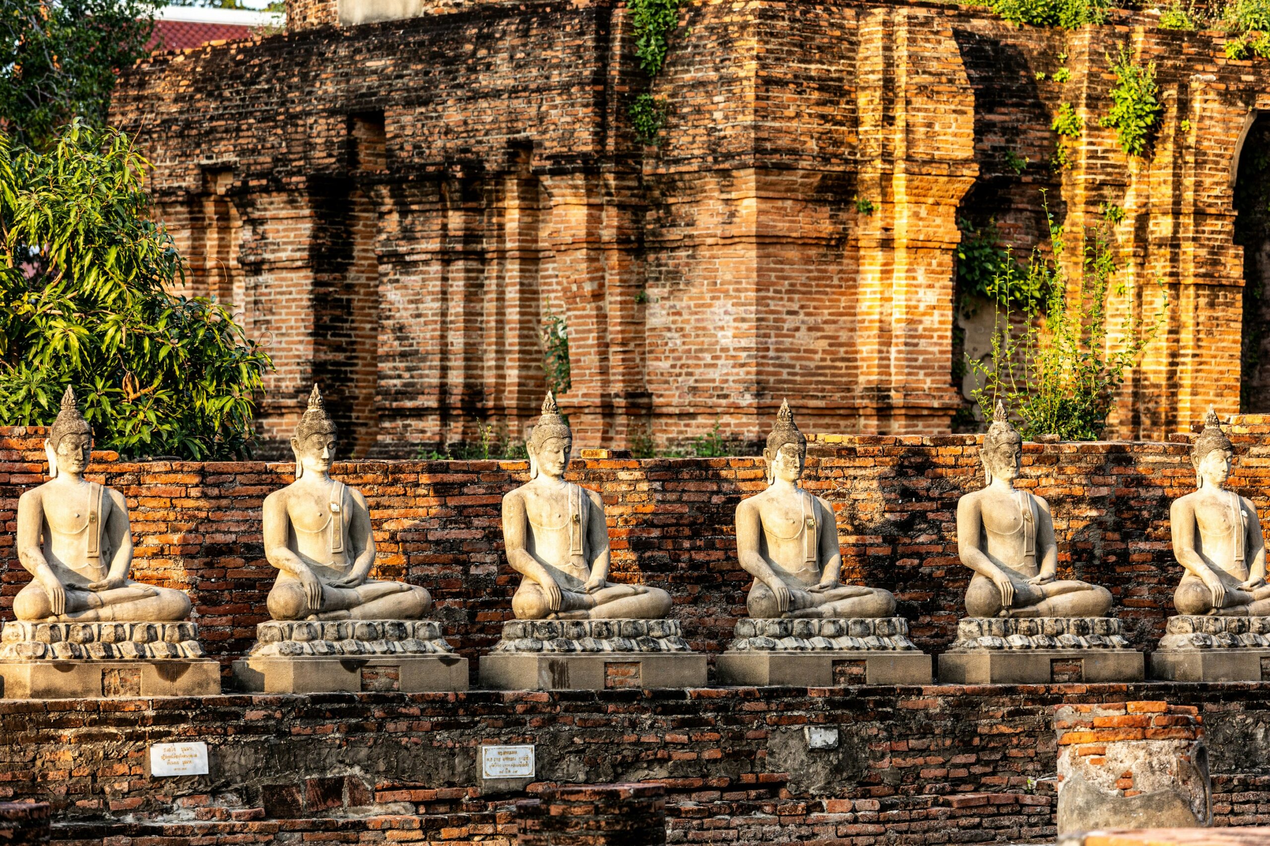 Een rij identieke stenen Boeddhabeelden tegen de achtergrond van een eeuwenoude tempelwand in Ayutthaya